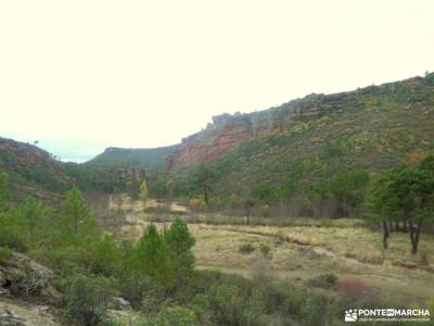 Parque Natural del Alto Tajo-Valle de los Milagros;cuenca del manzanares cascada del chorro castillo